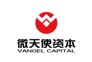 青島微天使商務(wù)信息咨詢管理企業(yè) 專業(yè)賦能商務(wù)決策